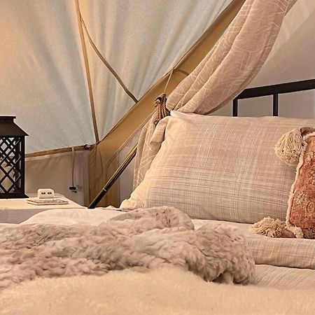 Shenandoah Valley Glamping - Amazing Views - Farm Edinburg 외부 사진