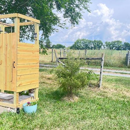 Shenandoah Valley Glamping - Amazing Views - Farm Edinburg 외부 사진