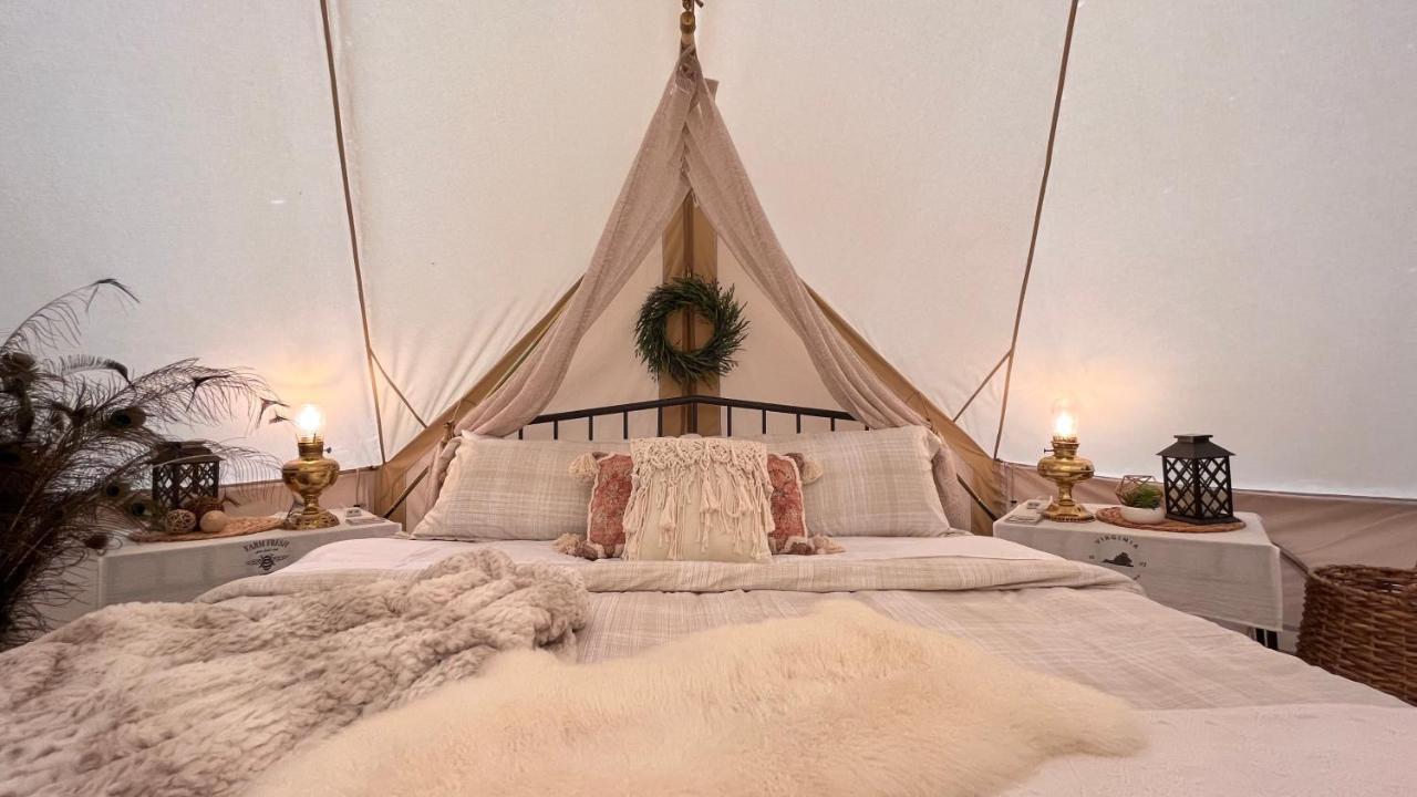 Shenandoah Valley Glamping - Amazing Views - Farm Edinburg 외부 사진