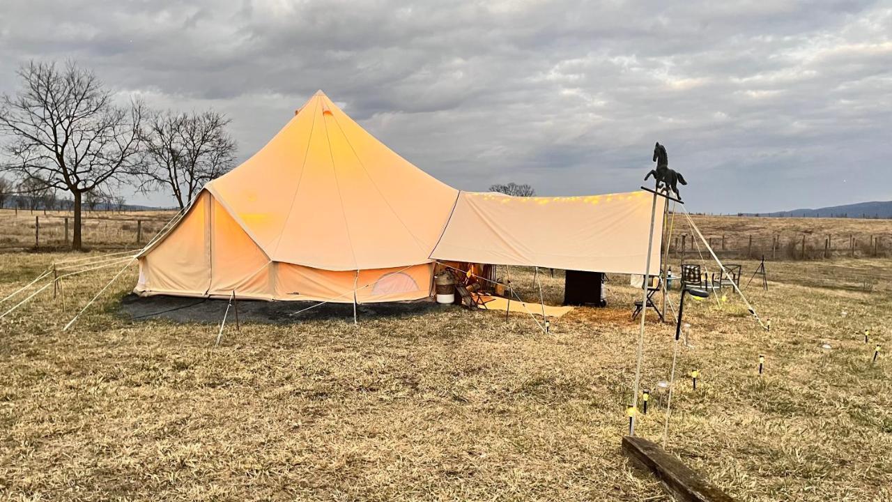 Shenandoah Valley Glamping - Amazing Views - Farm Edinburg 외부 사진