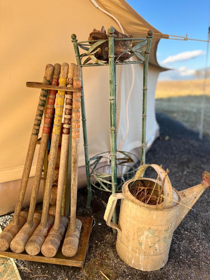 Shenandoah Valley Glamping - Amazing Views - Farm Edinburg 외부 사진