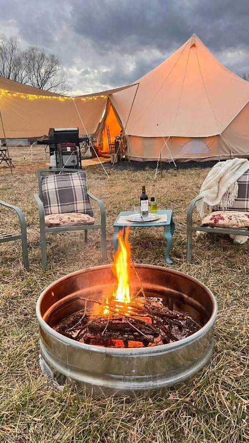 Shenandoah Valley Glamping - Amazing Views - Farm Edinburg 외부 사진