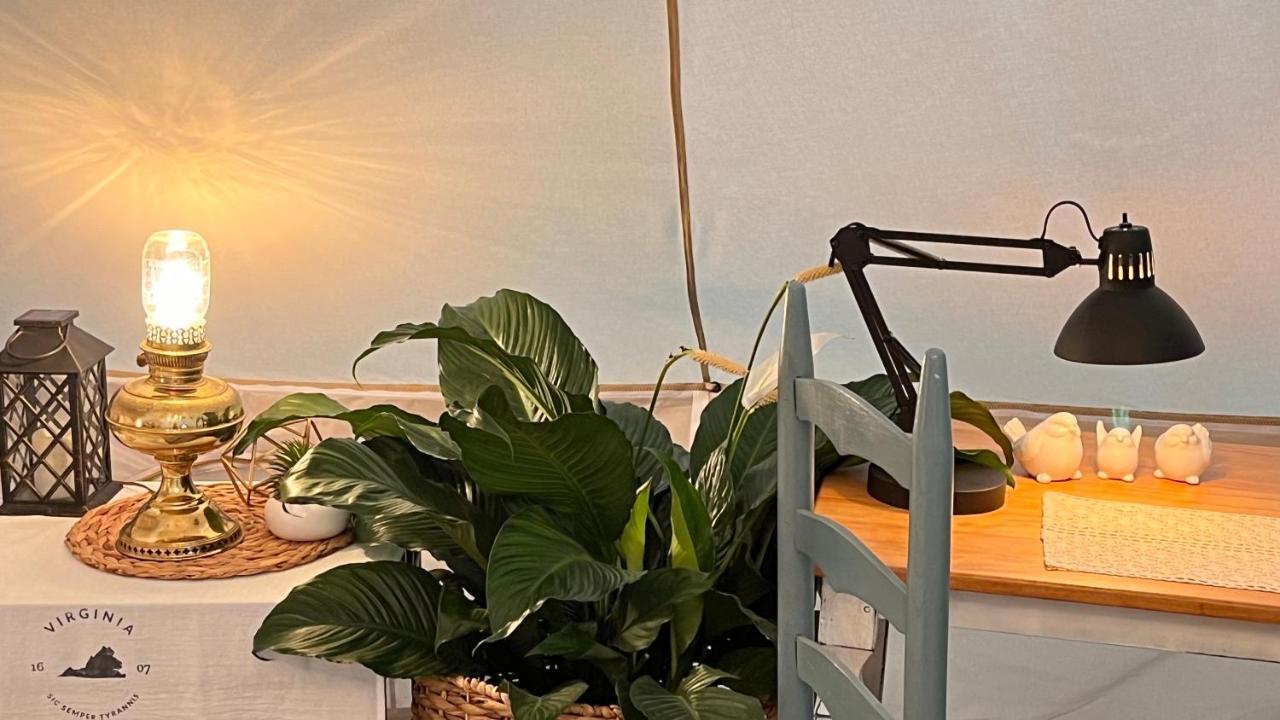 Shenandoah Valley Glamping - Amazing Views - Farm Edinburg 외부 사진