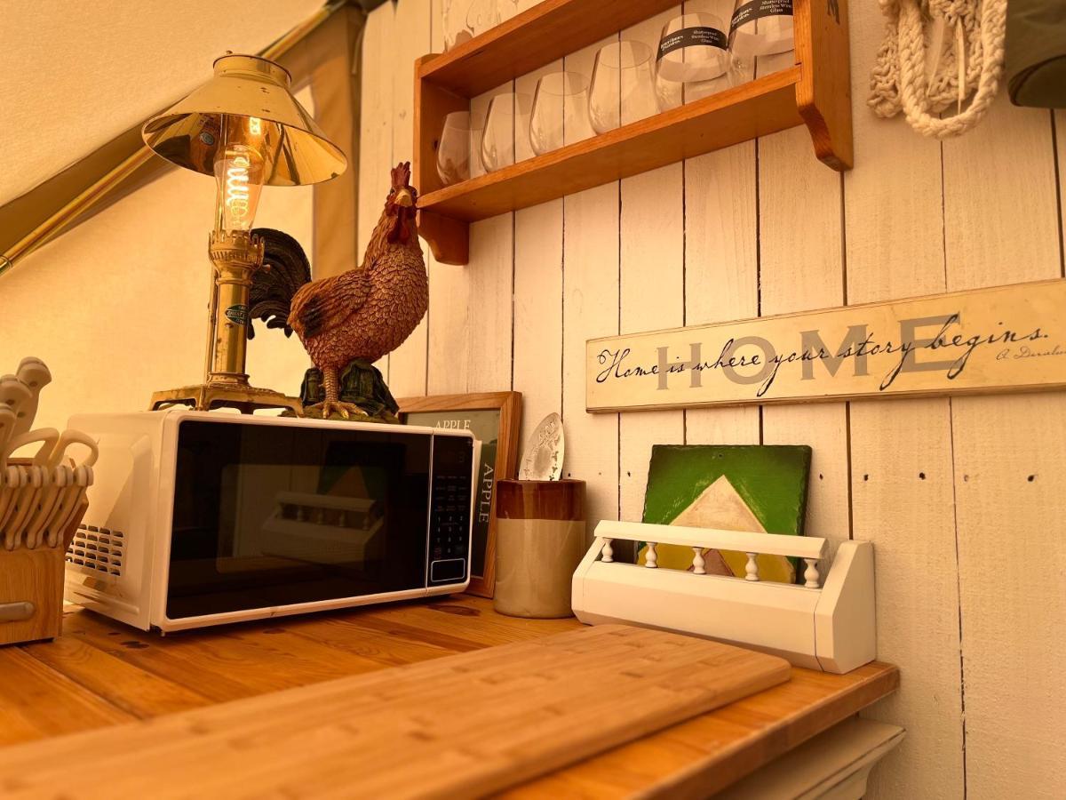 Shenandoah Valley Glamping - Amazing Views - Farm Edinburg 외부 사진
