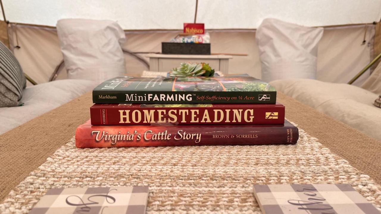 Shenandoah Valley Glamping - Amazing Views - Farm Edinburg 외부 사진