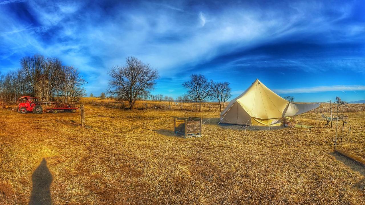 Shenandoah Valley Glamping - Amazing Views - Farm Edinburg 외부 사진