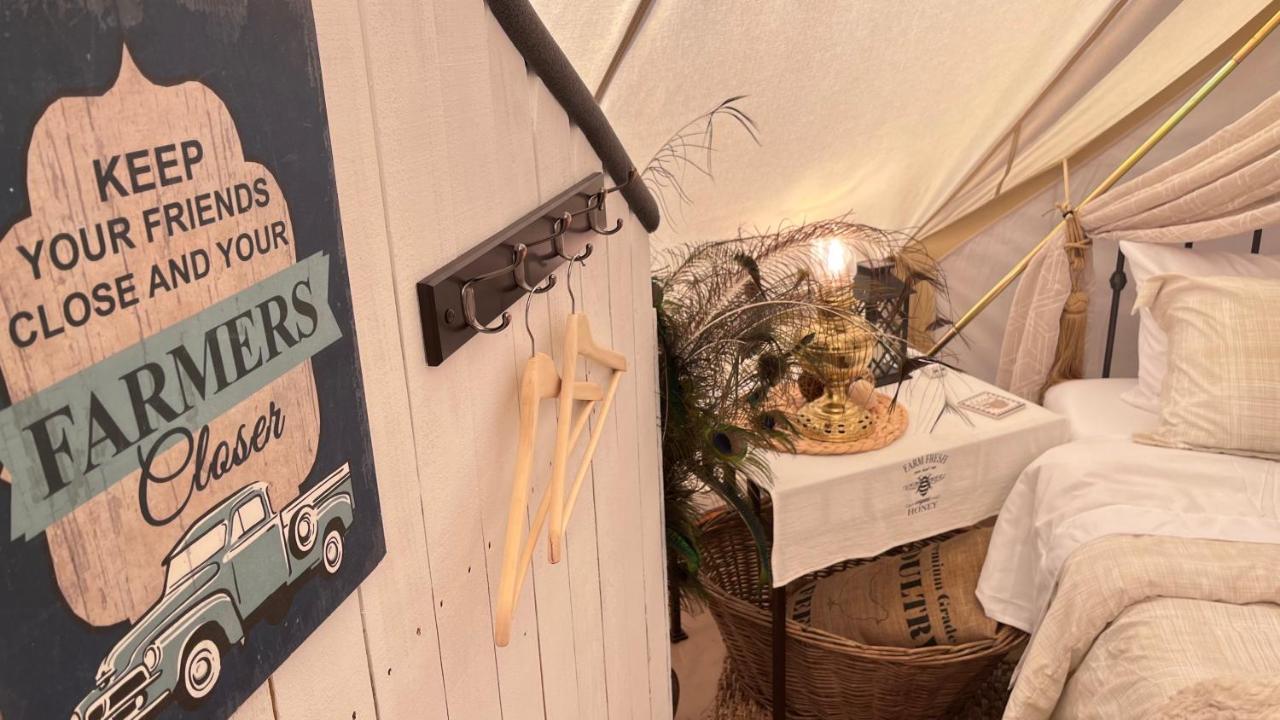 Shenandoah Valley Glamping - Amazing Views - Farm Edinburg 외부 사진