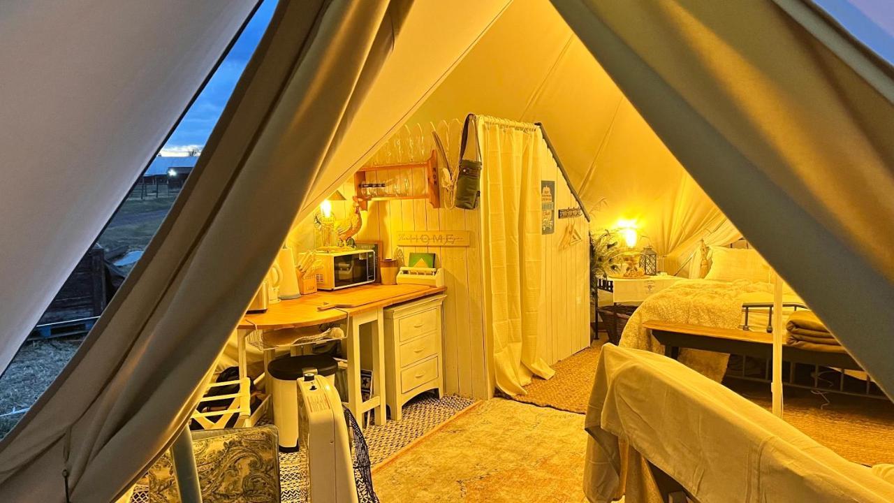 Shenandoah Valley Glamping - Amazing Views - Farm Edinburg 외부 사진