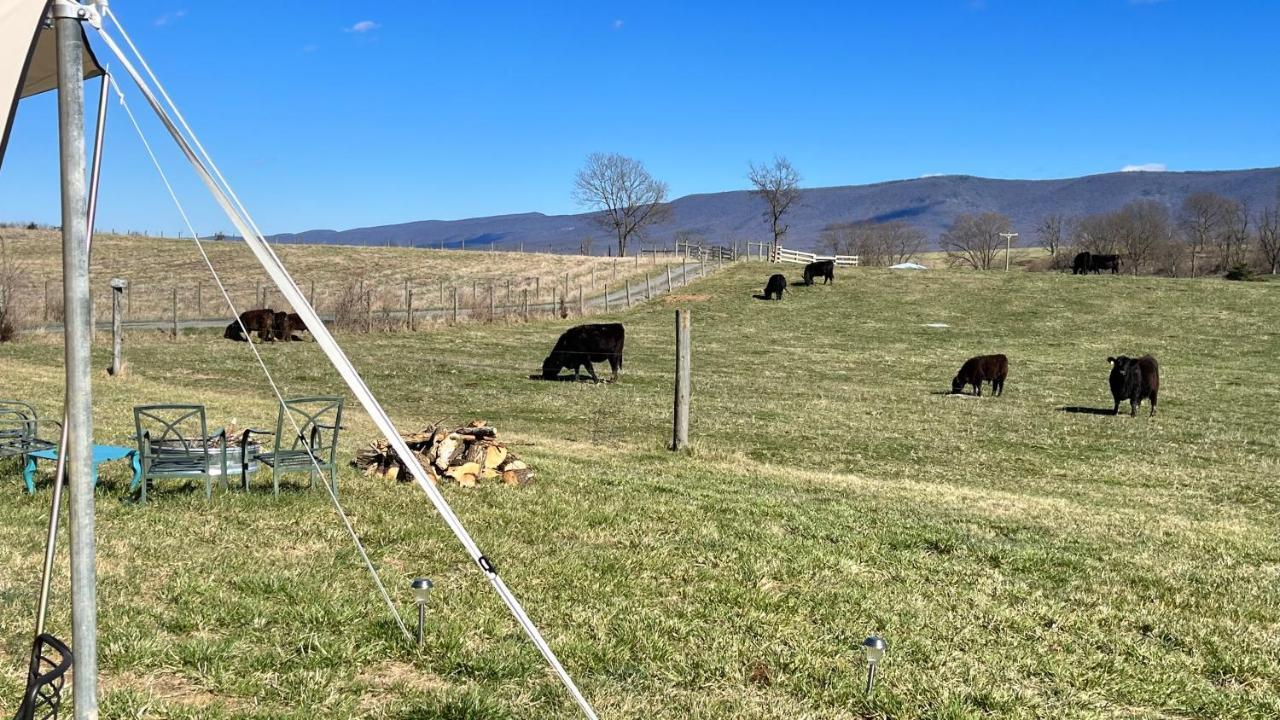 Shenandoah Valley Glamping - Amazing Views - Farm Edinburg 외부 사진