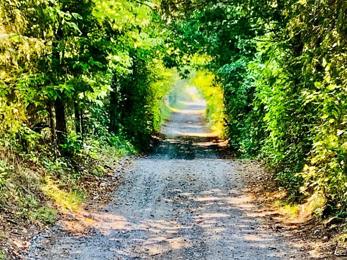 Shenandoah Valley Glamping - Amazing Views - Farm Edinburg 외부 사진